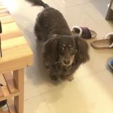 由 kunihiro (刊登 ID 1384105657，圖片 1) 提交，位於 的 (類別：)，說明：。