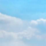 由 michaellll09 (刊登 ID 1463274618,圖片 1) 提交,位於 的 (類別:),說明:。