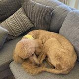 (Category: ) located in . Submitted by watten5 (Listing ID 1223176234, Image 1). Description: .