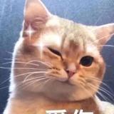 由 harperchenyy (刊登 ID 1336663247，圖片 1) 提交，位於 的 (類別：)，說明：。