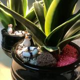 (Category: ) located in . Submitted by AAHpa (Listing ID 1467199977, Image 1). Description: .