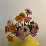 (Category: ) located in . Submitted by collager (Listing ID 1330358508, Image 1). Description: .
