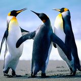 (Category: ) located in . Submitted by creativesnapper210693 (Listing ID 1210113320, Image 1). Description: .