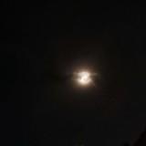 (Category: ) located in . Submitted by abbey.310 (Listing ID 1381158700, Image 1). Description: .