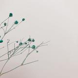 （分類：）位於 。 由 caca.selling 提交（商品編號 1306481759，圖片 1）。簡介： 。