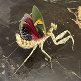 (Category: ) located in . Submitted by betsygreen (Listing ID 1219478462, Image 1). Description: .