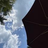 (Category: ) located in . Submitted by anitaflynn (Listing ID 1360579594, Image 1). Description: .
