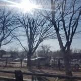 (Category: ) located in . Submitted by crys7777 (Listing ID 1444448024, Image 1). Description: .