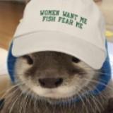 (Category: ) located in . Submitted by confusedwolf (Listing ID 1356673145, Image 1). Description: .
