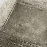 （分類：）位於 。 由 ppsssppp 提交（商品編號 1357307508，圖片 1）。簡介： 。