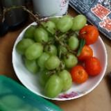 （分類：）位於 。 由 romamap 提交（商品編號 1367721975，圖片 1）。簡介： 。