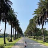 由 anitayun (刊登 ID 1318695050，圖片 1) 提交，位於 的 (類別：)，說明：。
