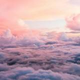 (Kategori: ) berada di . Dikirim oleh sumberjayamakmur88 (ID iklan 1361975989, Gambar 1). Deskripsi: .