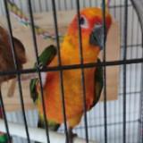 (Category: ) located in . Submitted by kragz (Listing ID 1372577314, Image 1). Description: .