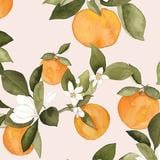 （分類：）位於 。 由 blibliss.2020 提交（商品編號 1345435825，圖片 1）。簡介： 。