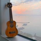 （分類：）位於 。 由 AlohaSito 提交（商品編號 1325521620，圖片 1）。簡介： 。