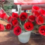 (Kategori: ) berada di . Dikirim oleh yerikhe0 (ID iklan 1305261074, Gambar 1). Deskripsi: .
