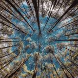 （分類：）位於 。 由 eco_pretty 提交（商品編號 1213502413，圖片 1）。簡介： 。