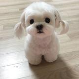 (Category: ) located in . Submitted by nymaka (Listing ID 1373040030, Image 1). Description: .