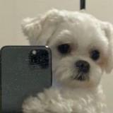 (Category: ) located in . Submitted by xmbnm (Listing ID 1275891538, Image 1). Description: .