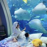 (Category: ) located in . Submitted by hotel000 (Listing ID 1066402889, Image 1). Description: .