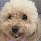 (Category: ) located in . Submitted by pammi28 (Listing ID 1378908992, Image 1). Description: .