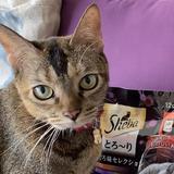 (Category: ) located in . Submitted by sabiko (Listing ID 1338909264, Image 1). Description: .