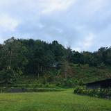 (Category: ) located in . Submitted by ninixwg (Listing ID 1455634243, Image 1). Description: .