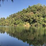 （分類：）位於 。 由 caterer 提交（商品編號 1254597961，圖片 1）。簡介： 。