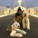 由 doris900628 (刊登 ID 1384619296，圖片 1) 提交，位於 的 (類別：)，說明：。