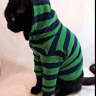 (Category: ) located in . Submitted by april6837 (Listing ID 1364274955, Image 1). Description: .