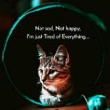 （分類：）位於 。 由 novembercc 提交（商品編號 1385509298，圖片 1）。簡介： 。