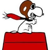 (Category: ) located in . Submitted by redbaronsnoopy (Listing ID 1381050335, Image 1). Description: .