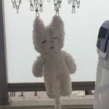 (Category: ) located in . Submitted by chaeyaa (Listing ID 1284317829, Image 1). Description: .