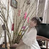 (Category: ) located in . Submitted by lizho4494 (Listing ID 1439574557, Image 1). Description: .
