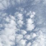 （分類：）位於 。 由 chillclouds 提交（商品編號 1289154959，圖片 1）。簡介： 。