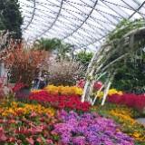 (Category: ) located in . Submitted by poppy.lee (Listing ID 1319065527, Image 1). Description: .