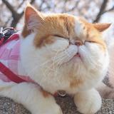 （分類：）位於 。 由 curbbbbb 提交（商品編號 1382645953，圖片 1）。簡介： 。