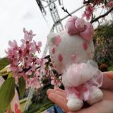 （分類：）位於 。 由 kittyhokittyho 提交（商品編號 1374618090，圖片 1）。簡介： 。