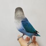 （分類：）位於 。 由 maylam430 提交（商品編號 1372249906，圖片 1）。簡介： 。