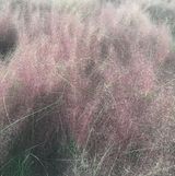 （分類：）位於 。 由 tracyw1 提交（商品編號 1324091579，圖片 1）。簡介： 。