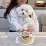 （分類：）位於 。 由 vicssss 提交（商品編號 1368654191，圖片 1）。簡介： 。