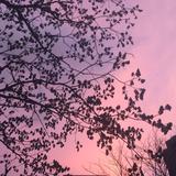 (Category: ) located in . Submitted by hikat01 (Listing ID 1110056121, Image 1). Description: .