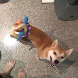 (Category: ) located in . Submitted by haeseam (Listing ID 1174442254, Image 1). Description: .