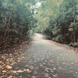 (Category: ) located in . Submitted by tangshasha (Listing ID 1385284622, Image 1). Description: .