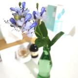 （分類：）位於 。 由 josephine_cheuk 提交（商品編號 1307661645，圖片 1）。簡介： 。