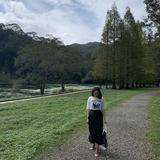 由 vincy.cyh (刊登 ID 1385837770，圖片 1) 提交，位於 的 (類別：)，說明：。