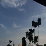(Kategori: ) berada di . Dikirim oleh prelovedbabee (ID iklan 1375552357, Gambar 1). Deskripsi: .