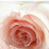 (Category: ) located in . Submitted by lady.kat (Listing ID 1326099706, Image 1). Description: .