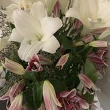 (Category: ) located in . Submitted by littleordinaryshop (Listing ID 1082938852, Image 1). Description: .